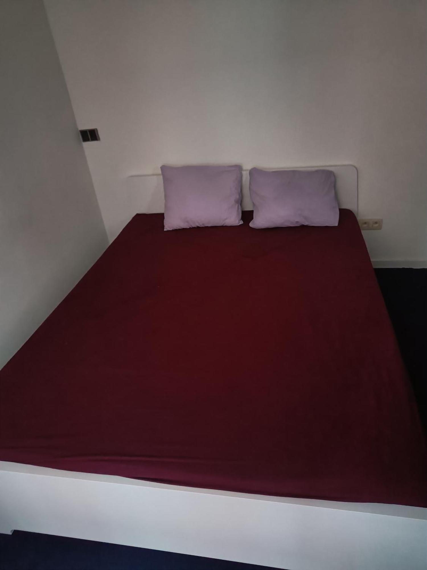 אנטוורפן Viktoria Hostel מראה חיצוני תמונה
