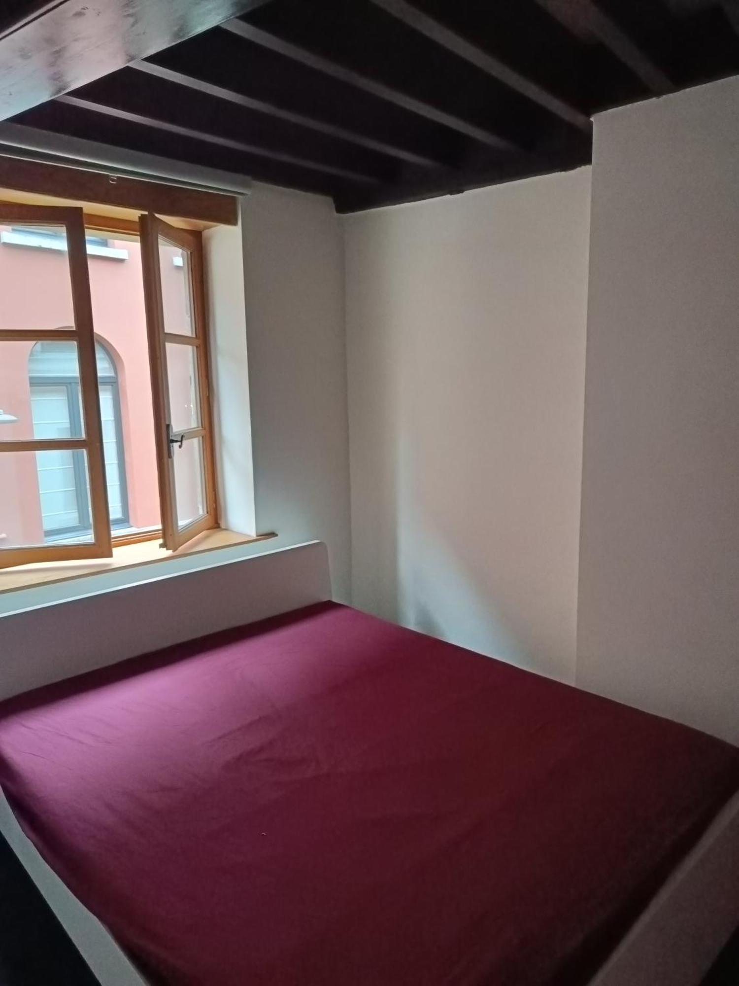 אנטוורפן Viktoria Hostel מראה חיצוני תמונה