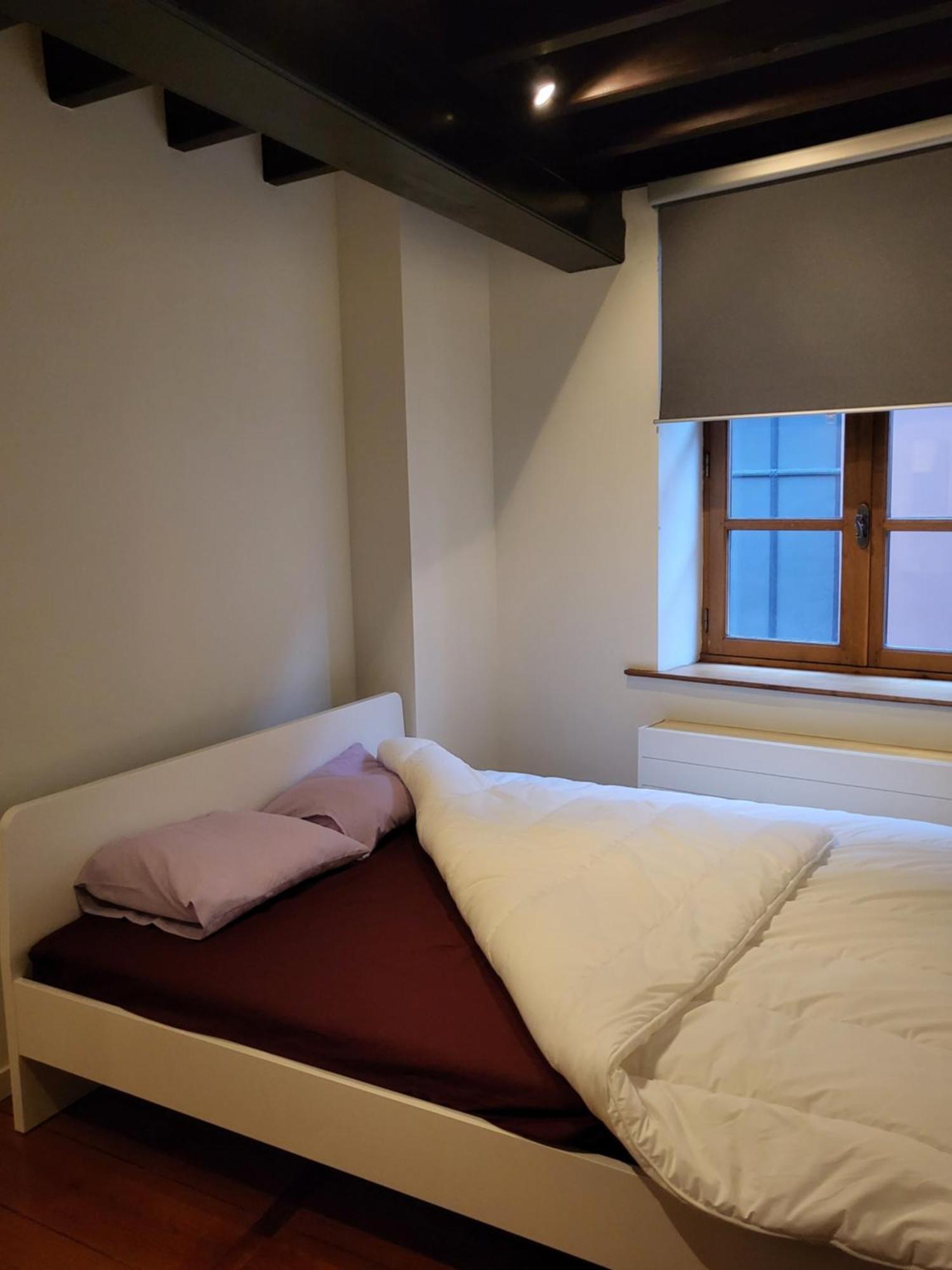 אנטוורפן Viktoria Hostel חדר תמונה